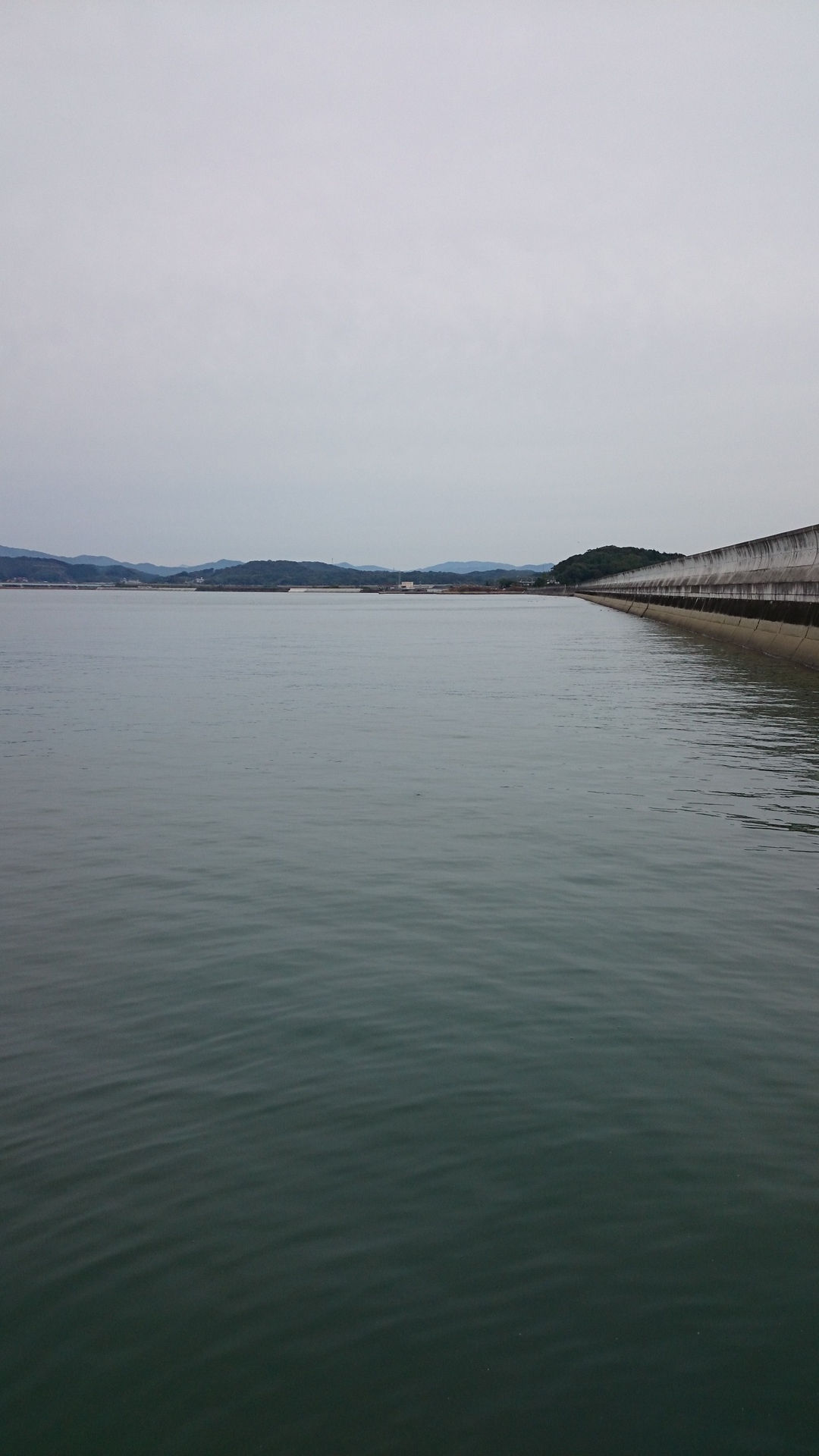 山口県 ハゼ釣り 山口県でゆるい釣りしてます ゆるまる適当下手釣りブログ