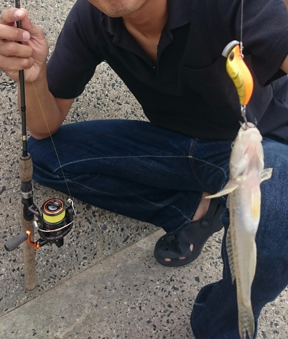 山口県 ハゼ釣り 山口県でゆるい釣りしてます ゆるまる適当下手釣りブログ